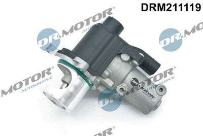 Dr.Motor Automotive EGR-klep (DRM211119)