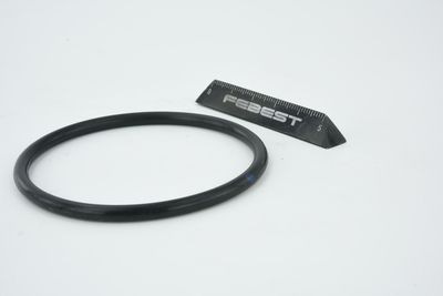 ETANșARE CARCASă CLAPETă FEBEST RINGAH010 33