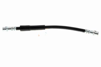 FURTUN FRANA VAICO V104119 1