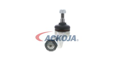 CAP DE BARA ACKOJA A379506 24