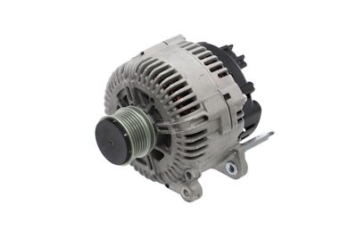 GENERATOR / ALTERNATOR REMANTE 011003000030R 65