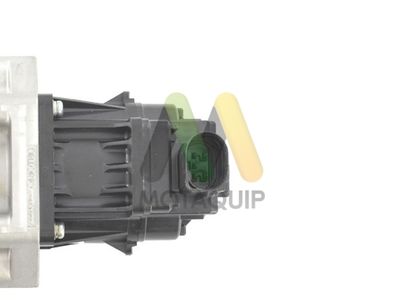 SUPAPA EGR MOTAQUIP LVER162 1