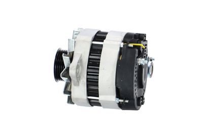 GENERATOR / ALTERNATOR REMANTE 011003000081R 18