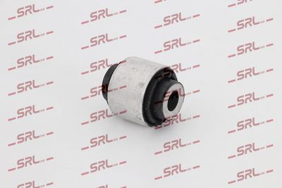 Mounting, control/trailing arm