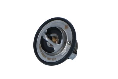 TERMOSTAT LICHID RACIRE NRF 725211 13