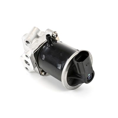 SUPAPA EGR DELPHI EG1041612B1 16