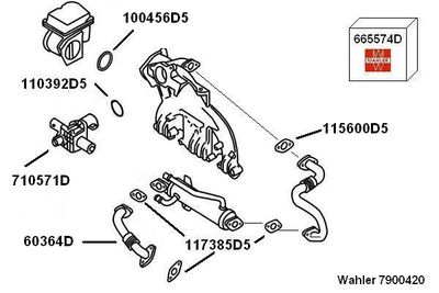 RECIRCULARE GAZE EVACUARE BorgWarner 7900420