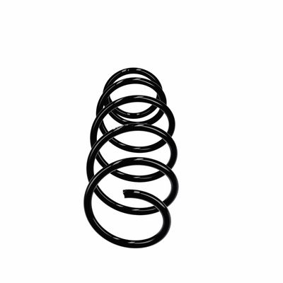ARC SPIRAL EIBACH R11021 1