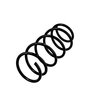 ARC SPIRAL EIBACH R10077 3
