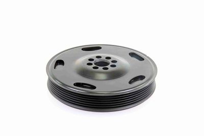 FULIE CUREA ARBORE COTIT VAICO V104342 2