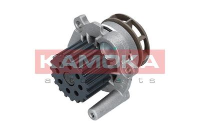 Water Pump, engine cooling T0027