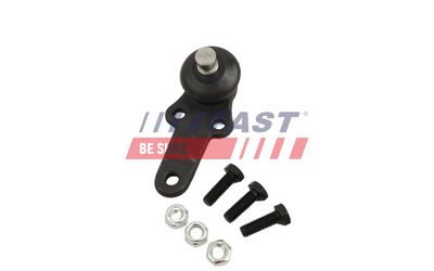 ARTICULATIE PARGHIE COT