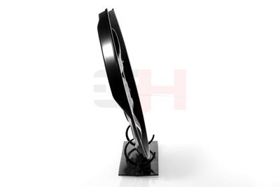 PROTECTIE STROPIRE DISC FRANA GH GH483384V 17