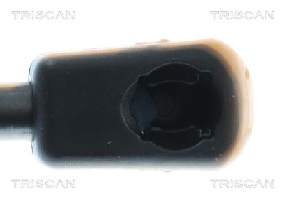 AMORTIZOR PORTBAGAJ TRISCAN 8710292082 2