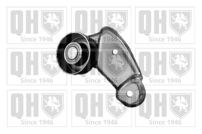 QUINTON HAZELL QTA738 Ролик ремня генератора  для RENAULT (Рено)