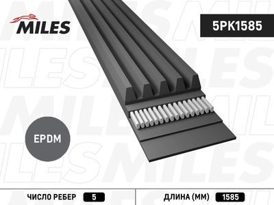 Поликлиновой ремень MILES 5PK1585 для LANCIA Y