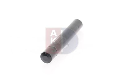 TROCKNER KLIMAANLAGE AKS DASIS 800572N 12