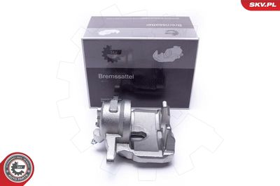 Brake Caliper 44SKV531