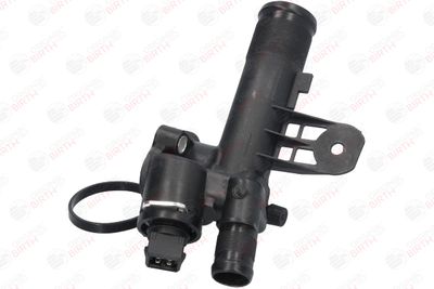 FLANSA LICHID RACIRE BIRTH 81036 11
