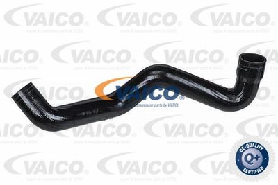 Трубка нагнетаемого воздуха VAICO V24-0689 для FIAT PUNTO