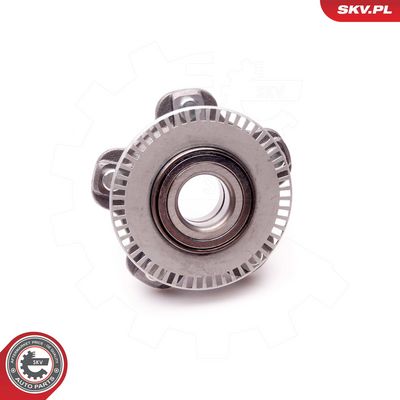 SET RULMENT ROATA ESEN SKV 29SKV065 4