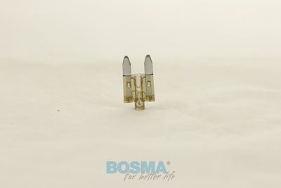 Kaitse BOSMA 2690