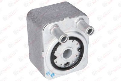 RADIATOR ULEI ULEI MOTOR BIRTH 8917 12