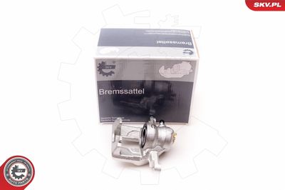 Brake Caliper 34SKV014