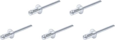 SORTIMENT BLINDNIET BGS 75849