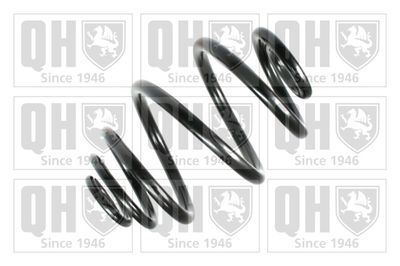 QUINTON HAZELL QCS5976 Пружина подвески  для OPEL CORSA (Опель Корса)