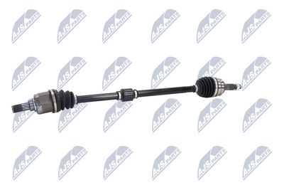 PLANETARA NTY NPWCH062 22