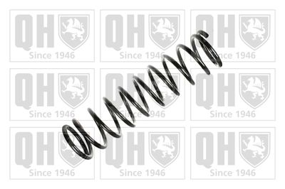 Пружина ходовой части QUINTON HAZELL QCS8116 для MERCEDES-BENZ G-CLASS