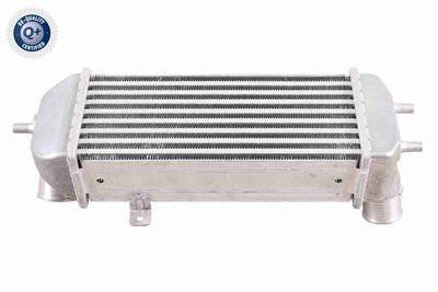 INTERCOOLER COMPRESOR ACKOJA A52600009 1