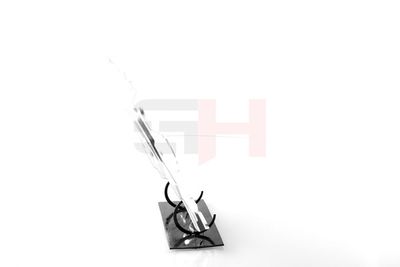 PROTECTIE STROPIRE DISC FRANA GH GH481550H 19