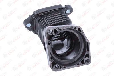 FURTUN EAR SUPRAALIMENTARE BIRTH 55678 2