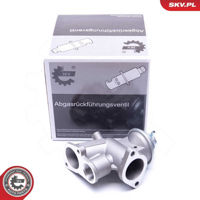 AGR-Ventil