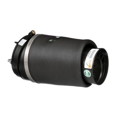 LUFTFEDER FAHRWERK Arnott A2934 6