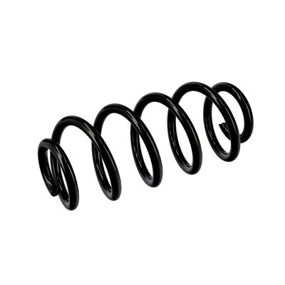 ARC SPIRAL EIBACH R10135 17