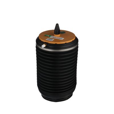 LUFTFEDER FAHRWERK Arnott A3891 30