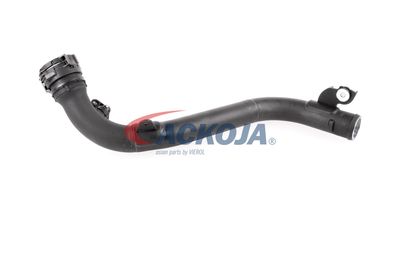 FURTUN EAR SUPRAALIMENTARE ACKOJA A380387 34