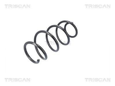 ARC SPIRAL TRISCAN 875029582 1