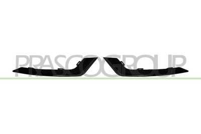 ELEMENTE DECORATIVE/PROTECTIE BARA PROTECTIE PRASCO RN7061250
