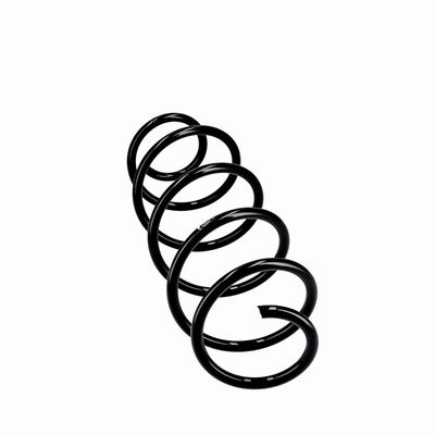 ARC SPIRAL EIBACH R10293 24