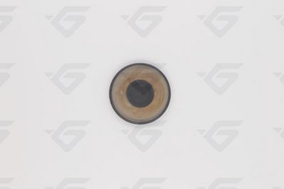 VERSCHLUSSDECKEL NOCKENWELLE HUTCHINSON 739764 3