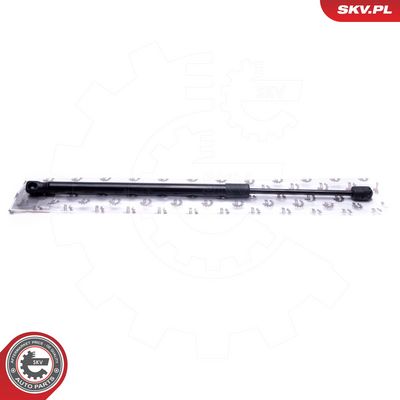 Dujinė spyruoklė, bagažinė