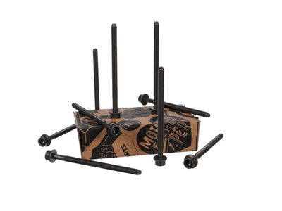 SET SURUB CHIULASA ET ENGINETEAM BS0084 28