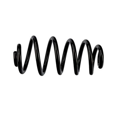 ARC SPIRAL EIBACH R10114 19