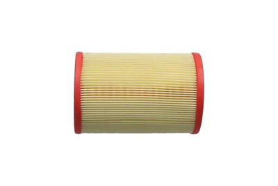 FILTRU AER Kavo Parts FAF10234 22