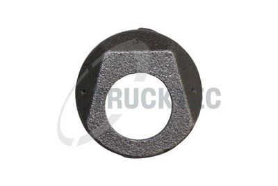 DUZA ULEI UNGERE CAME