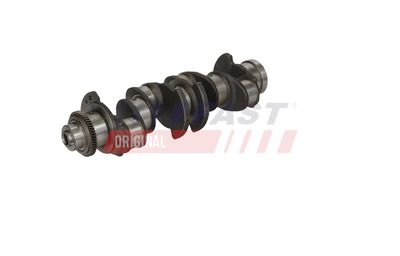 ARBORE COTIT FAST FT51759 10